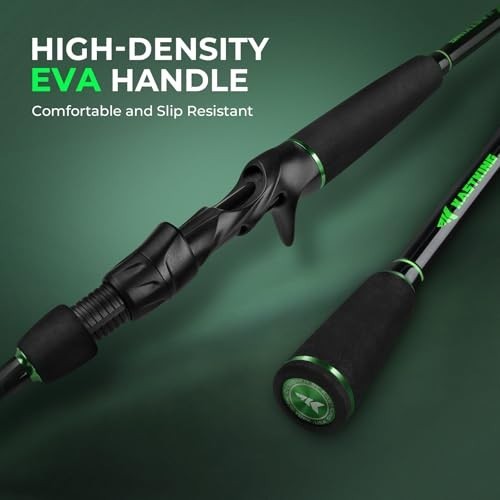 Lightweight Dual Tip Fishing Rod – IM6 Graphite Spinning & Casting, EVA Grip, Zi