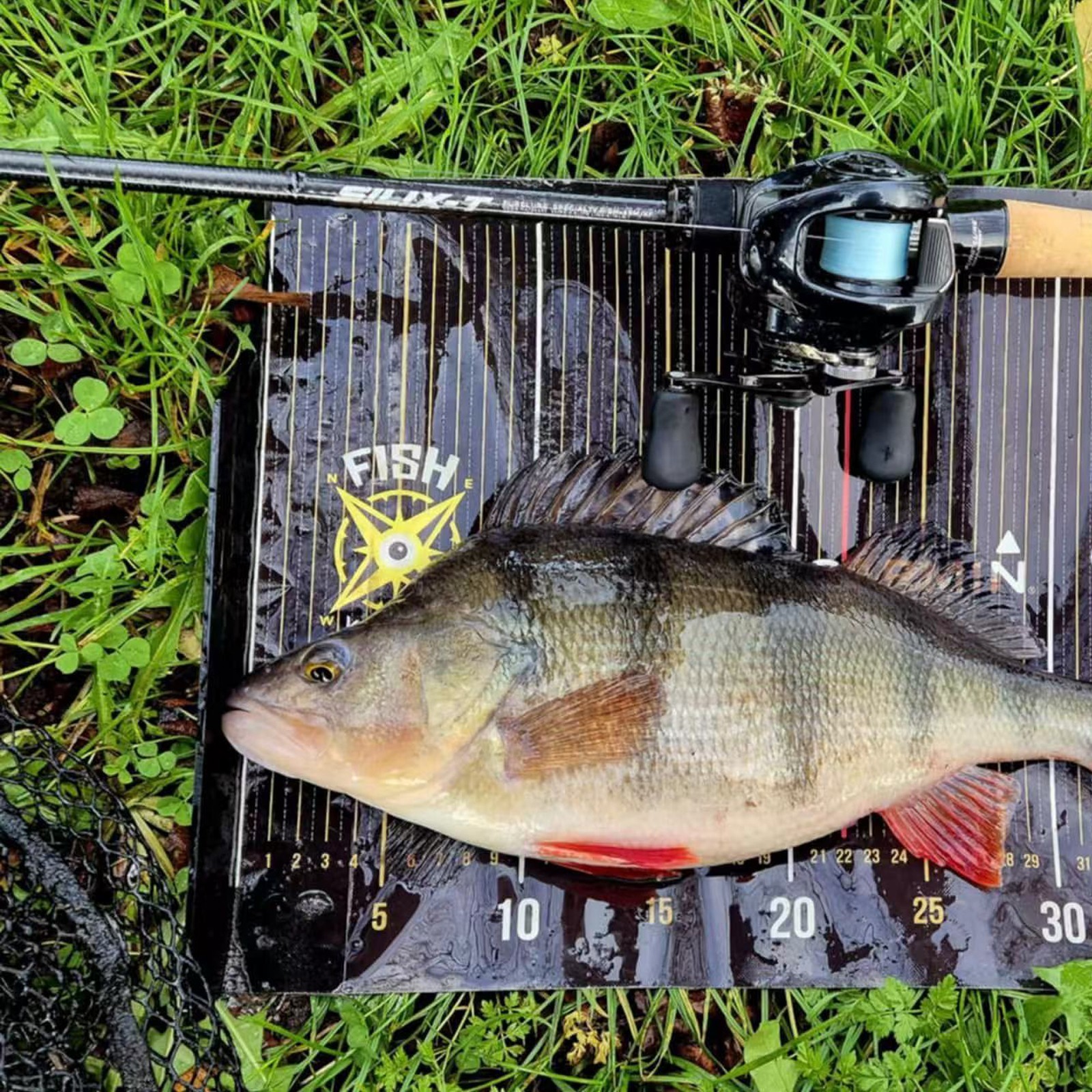 PURELURE SILIX-T 1-Piece Extra Fast Rod Casting Spinning Fishing Lightweight