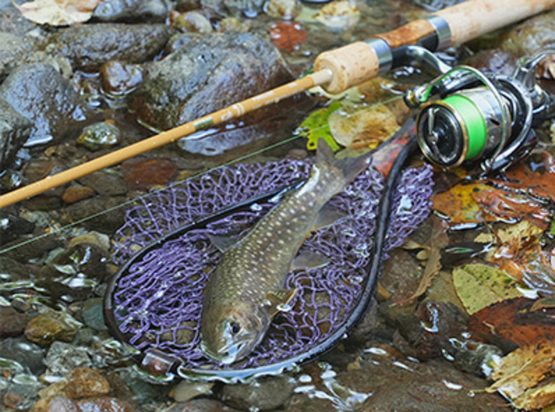 DAIWA 23 PURELIST 48UL・W Native Trout Rod Spinning 4.8 ft From Japan