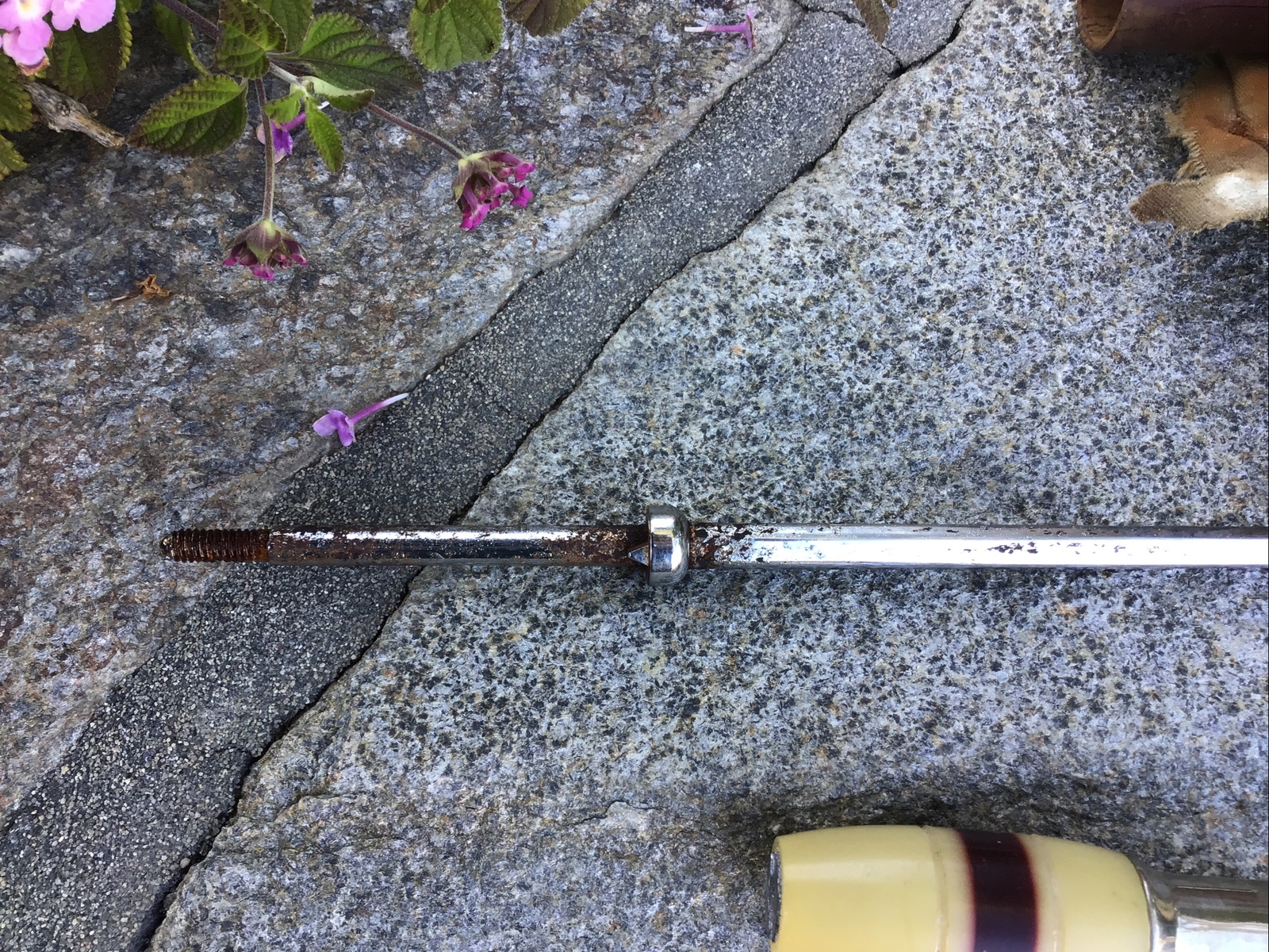 Vintage Orchard Industries “ACTION ROD” WHITE & MAROON Bakelite Handle-#R7
