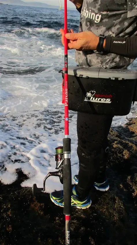 SPANISH LURES SEAVARA PAIXON Spinning Fishing Rod 2.66m H 20-65g