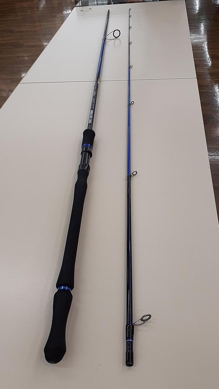 Eclipese Rexearter 107 RXT Sea Bass Surfcasting Rod 10ft 7in (323cm) 2-piece