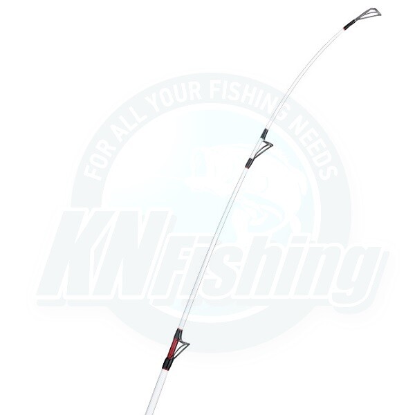 AKAMI ALISTER SPECIAL Surfcasting Fishing Rod 4.20m 100-250g