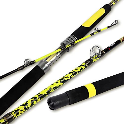 Catfish Fishing Rod 1 Piece/2 Piece Portable Travel Heavy Cat