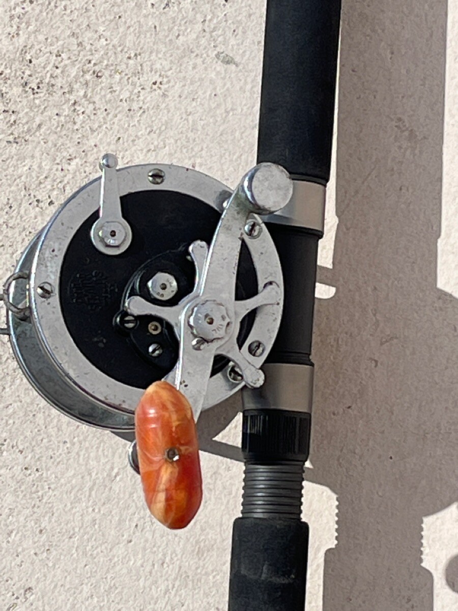 DAIWA BEEF STICK & PENN SENATOR REEL **IN STORE PICK UP ONLY** (PSN028788)