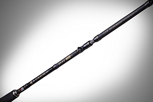 AbuGarcia (Abu Garcia) Kurofune Hairtail KTUC-180M First record 7:3. Boat rod Fi