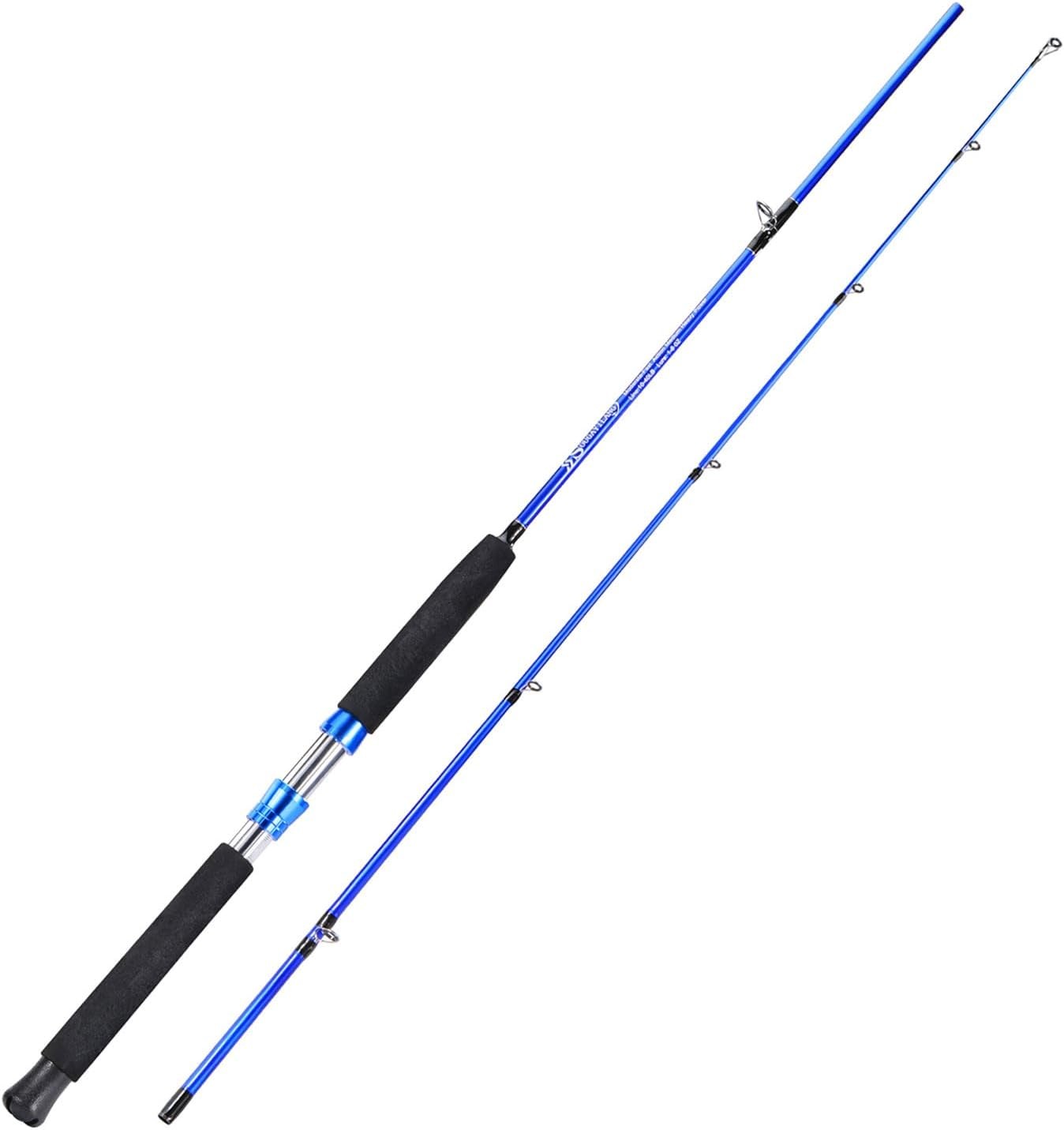 Catfish Fishing Rod 2 Piece Catfishing Fishing Pole Portable Travel