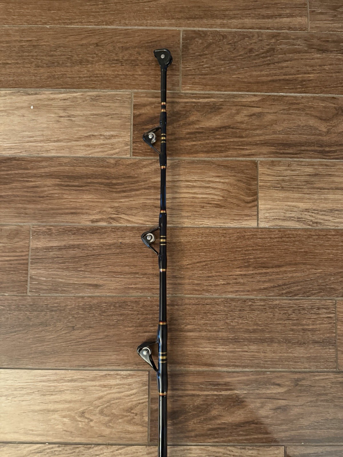 Penn International V IGFA 70 Big Game Fishing Rod With Aftco Rollers