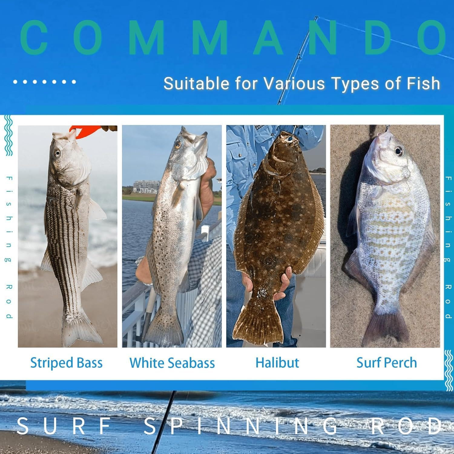 Surf Spinning Rod – 9/10/11/12Ft Graphite Saltwater Fishing Rod with Durable Sta