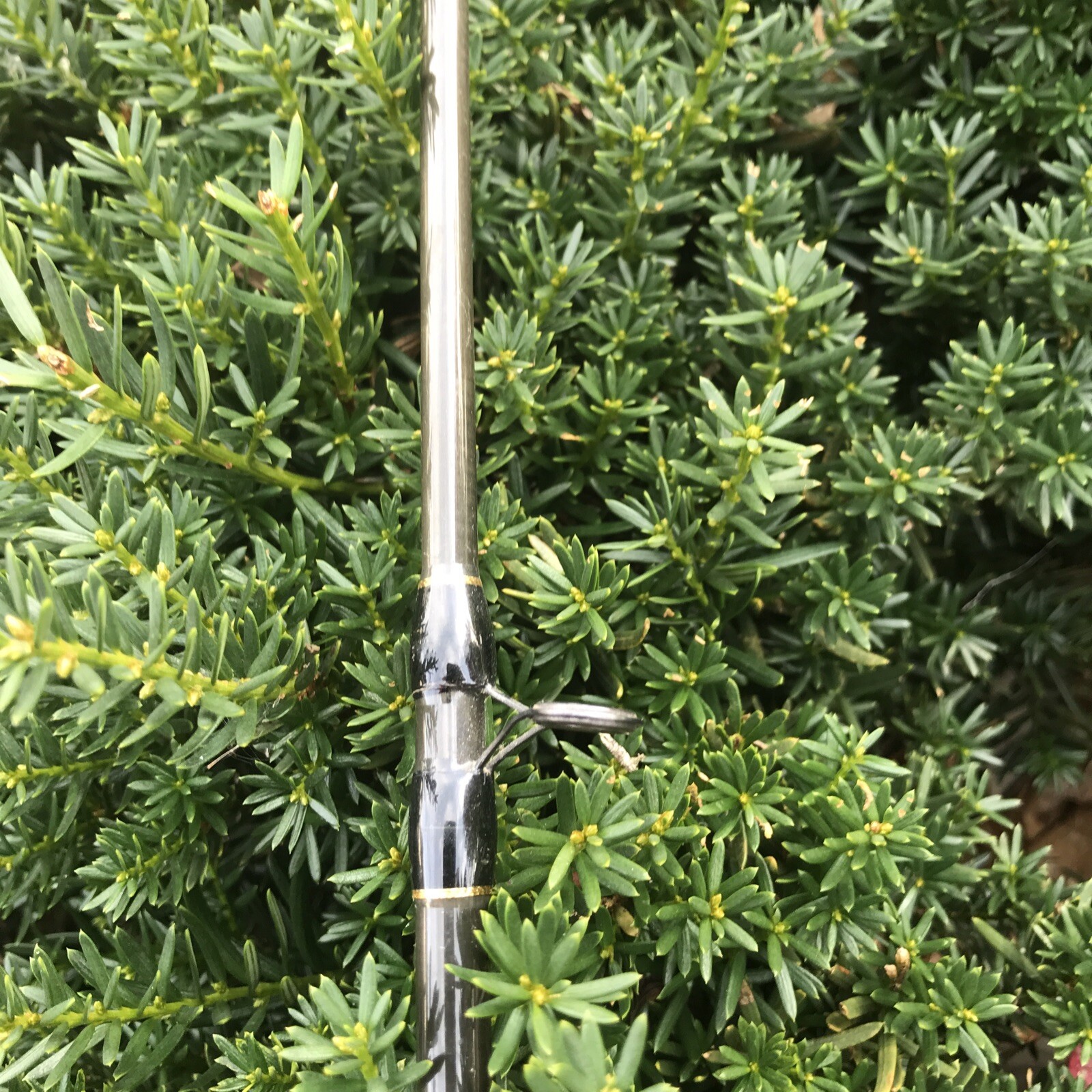 Shimano 1 Pc PMC-60MC Medium Casting Rod 6’ 6-15 Lb Line Missing 1 Guide