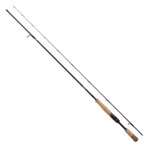 Daiwa 25 STEEZ SC S64L-2-SV-ST Spinning Rod for Bass
