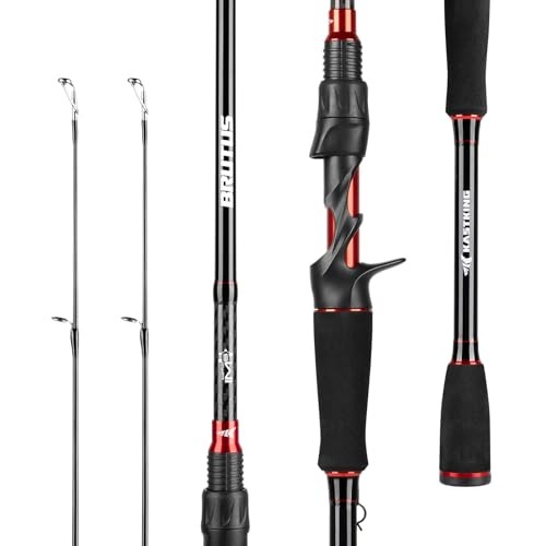 Brutus Spinning Rods & Casting Fishing Rods, IM6 Graphite Blanks, 2-Piece