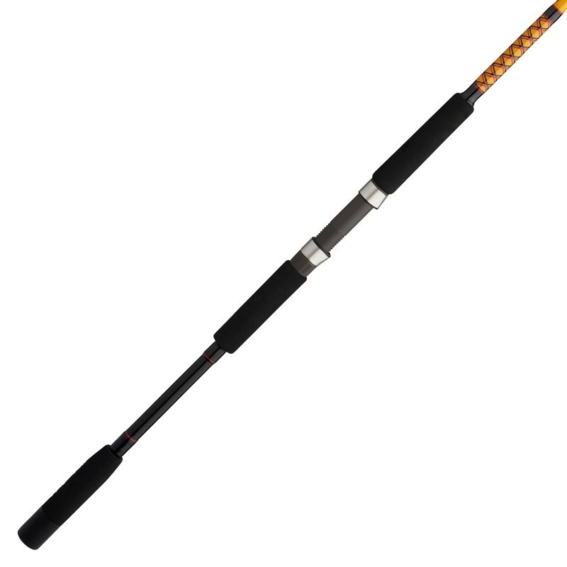 Bigwater Spinning Rod 9ft Medium Heavy 2 PieceDurable Fishing Rod EVA Grip
