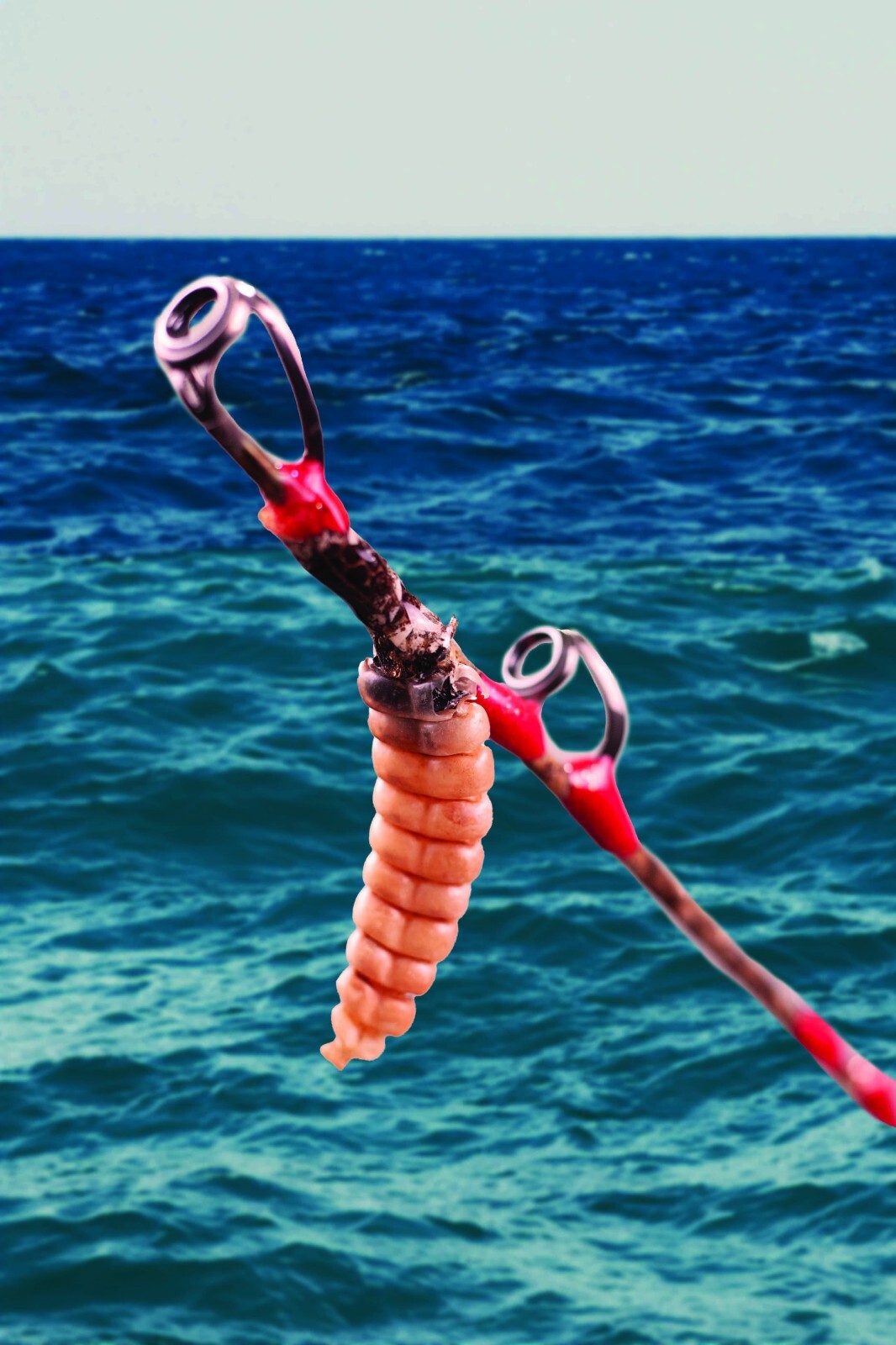 Custom Rattlesnake Fishing Rod Real Rattlesnake Skin Grips with or without Fangs