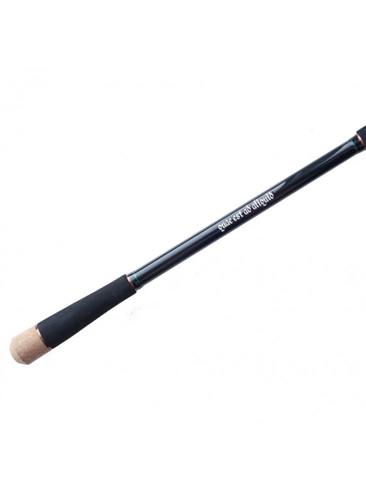 Crazy Fish Versus Casting 2.50m 30-150g Heavy Casting Rod Pike Zander Fishing