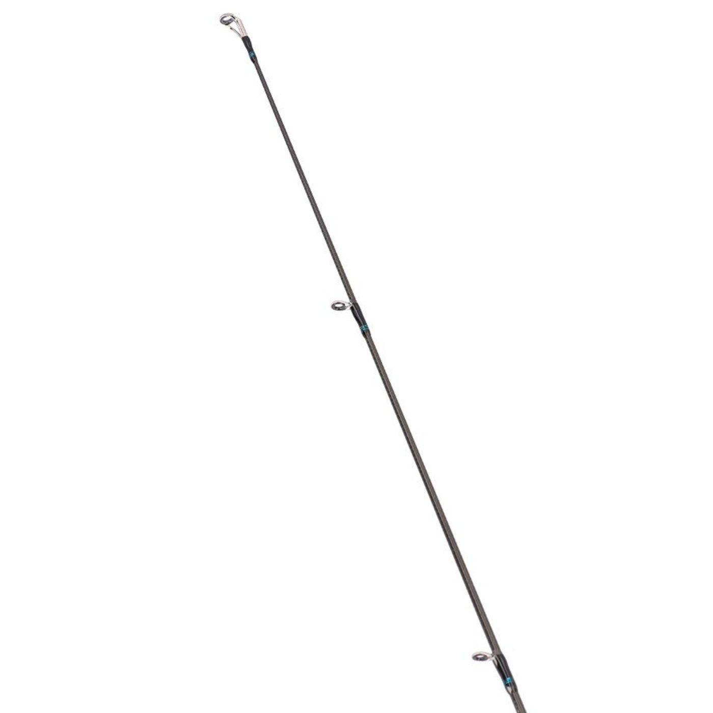 DAIWA Saltwater Squid Fishing Spinning Rod 25 EMERALDAS X 83ML