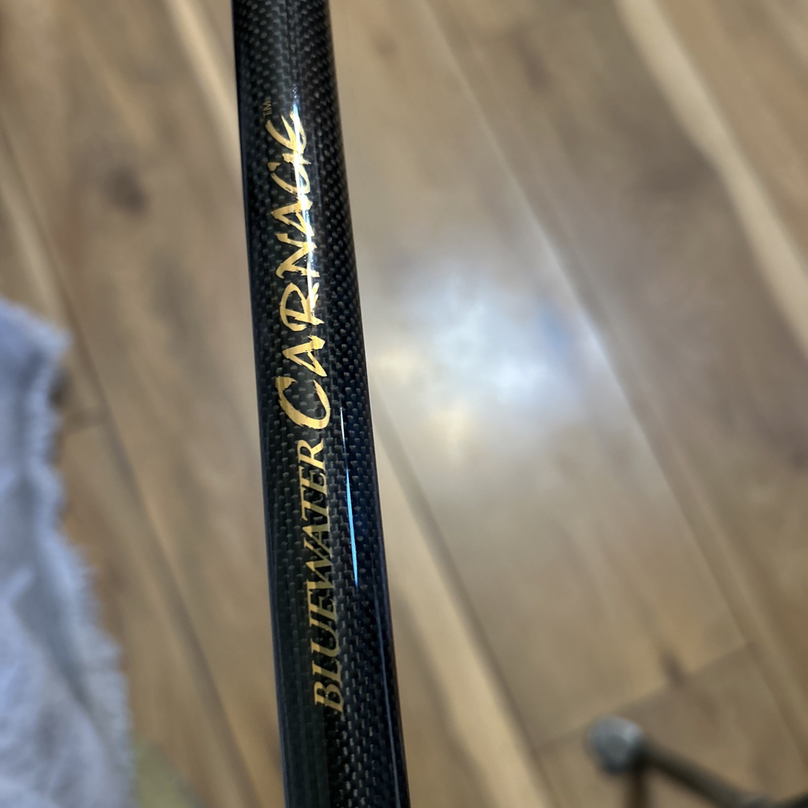 Penn Carnage Bluewater CARBW3080C80WL 7’10” 30-80lb Wire Line Rod