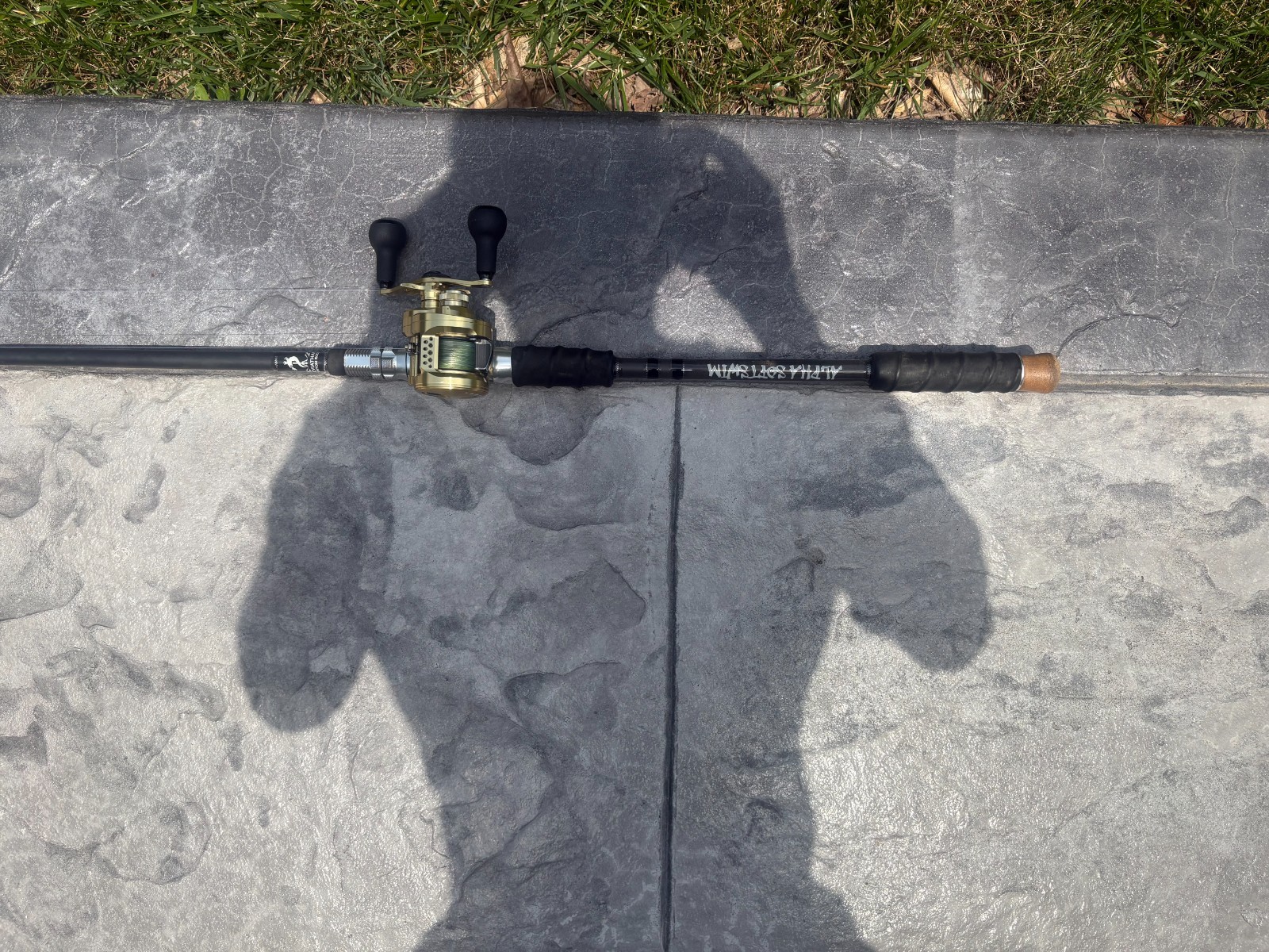 Alpha SoftSwim Silver Swimbait Rod