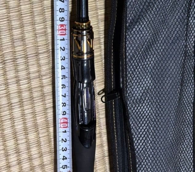 DAIWA Seabass Rod 25 MORETHAN 96M・J