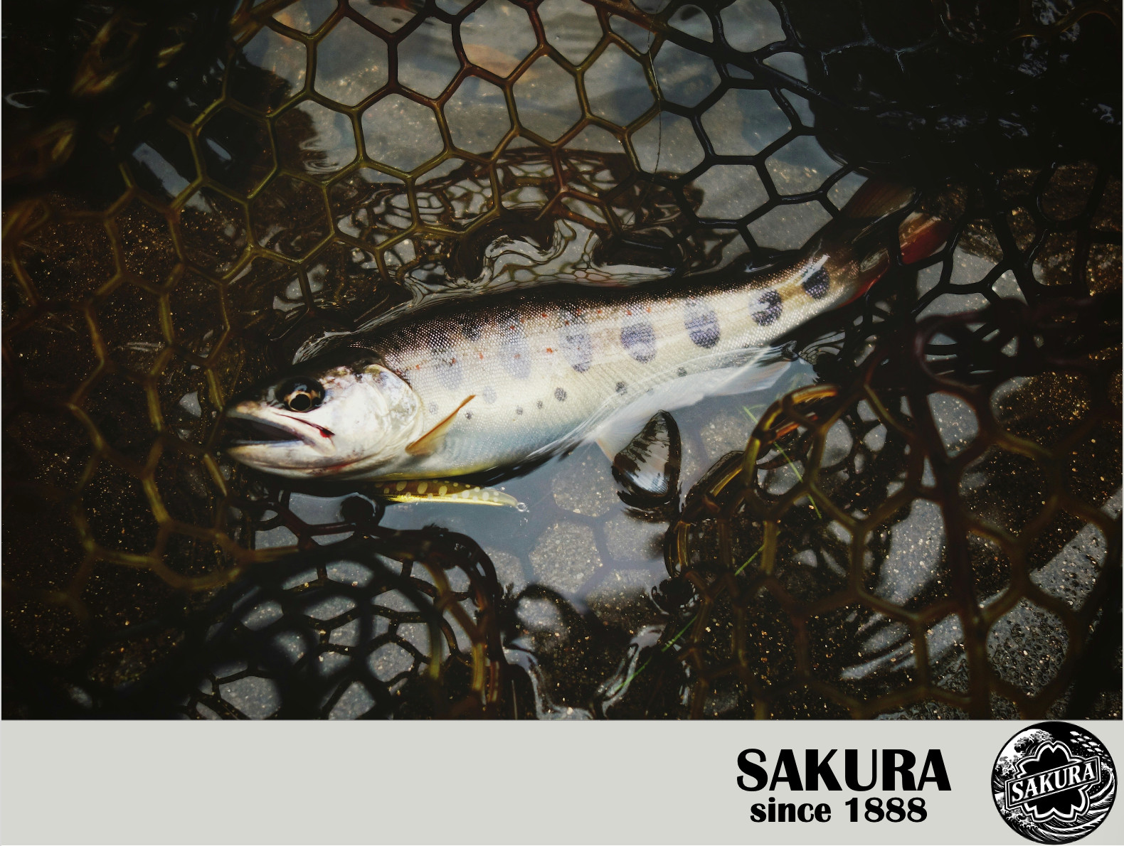 Japanese Fly Fishing Rod All Freshwater Fish 12ft Graphite UL JDM SAKURA Tenkara