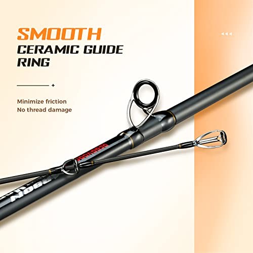 Surf Spinning Rod Graphite Fishing Rod BERRYPRO