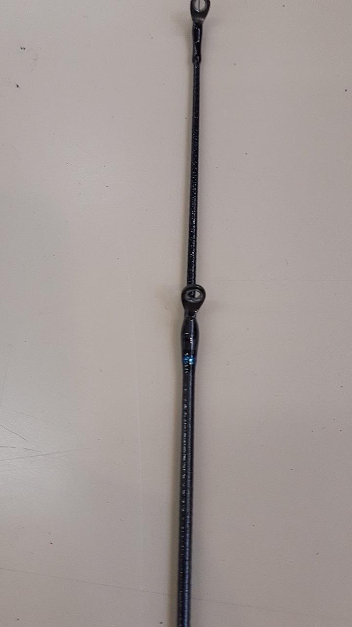 Daiwa Eging Rod 88in/8ft8in, 90g, 2-piece, with case, Fishing Equipment