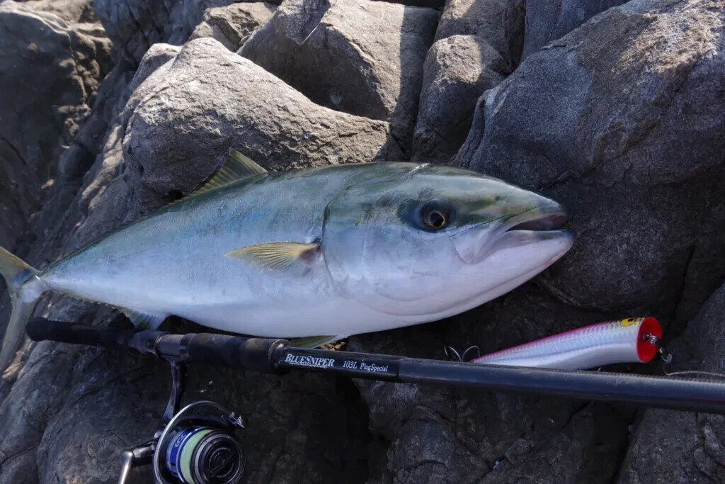Yamaga Blanks BlueSniper 103L plug special light class concept shore casting