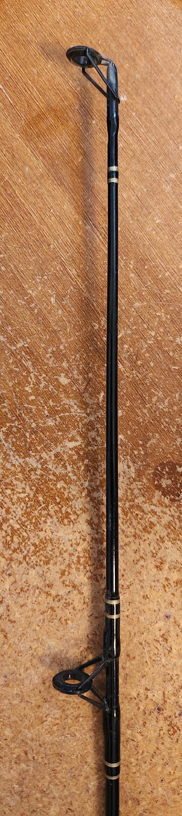 Master Spectra Composite Spinning Rod 8’0″ Model 3200 BK 2 Piece — Lot 3847