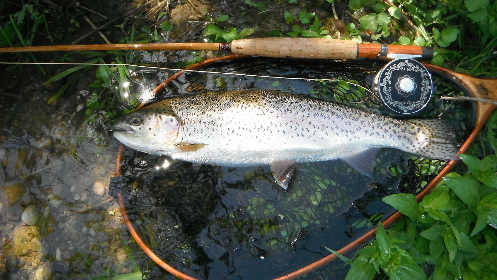 Fly Rod bamboo reproduction Payne 100 7’6” linea 4#5 .(1TIP)