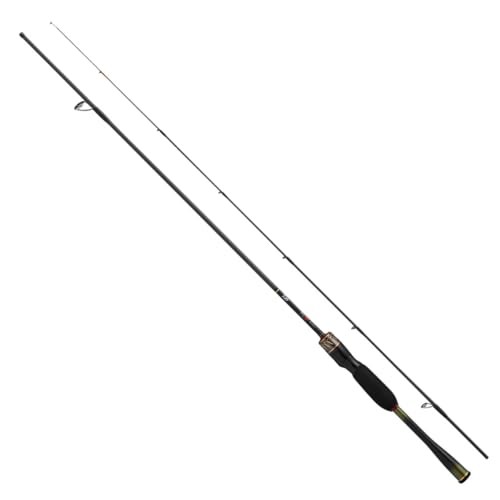 Daiwa 25 GEKKABIJIN MX Aging 48L-S-J Moonlight Beauty Spinning Rod
