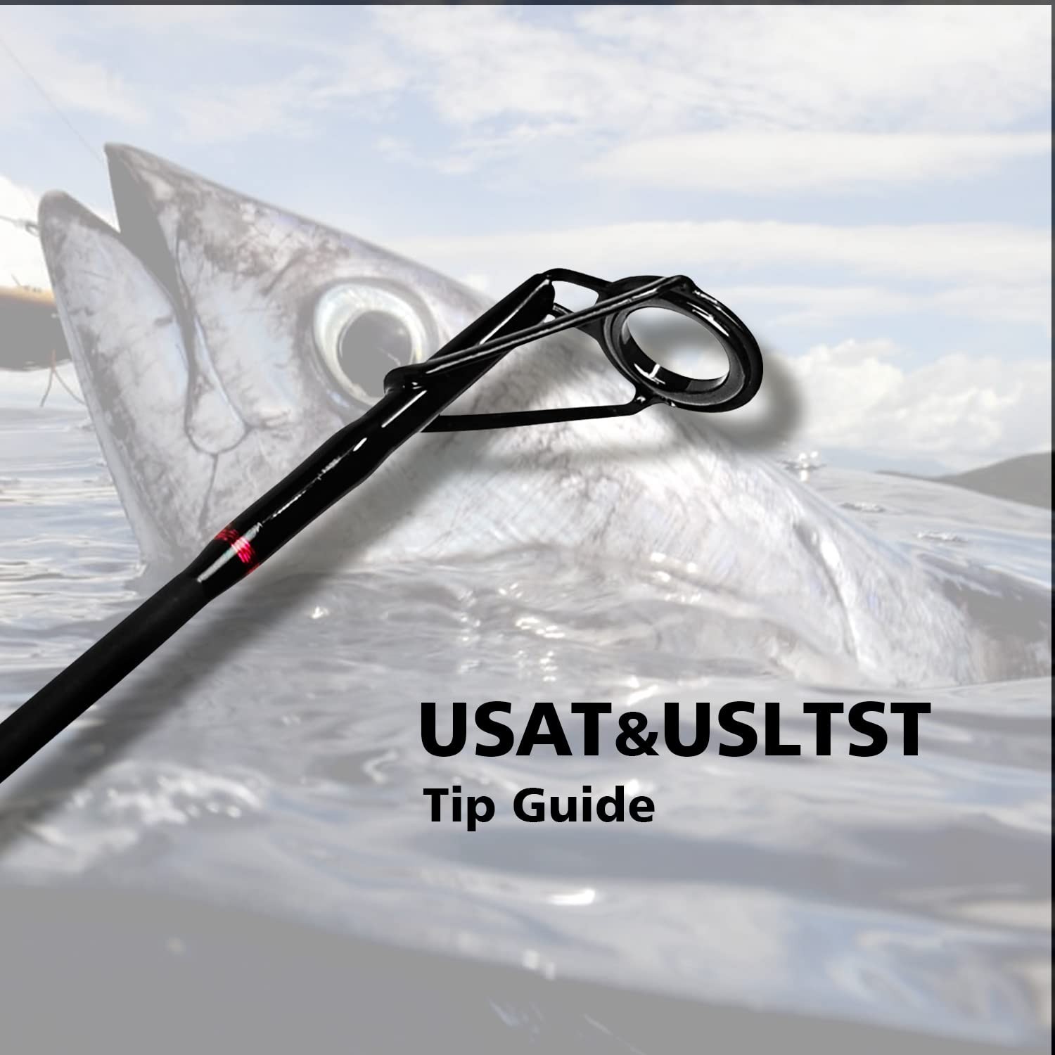 Lightweight Graphite Travel Fishing Rod – 2-Piece/4-Piece Surf Spinning Rod