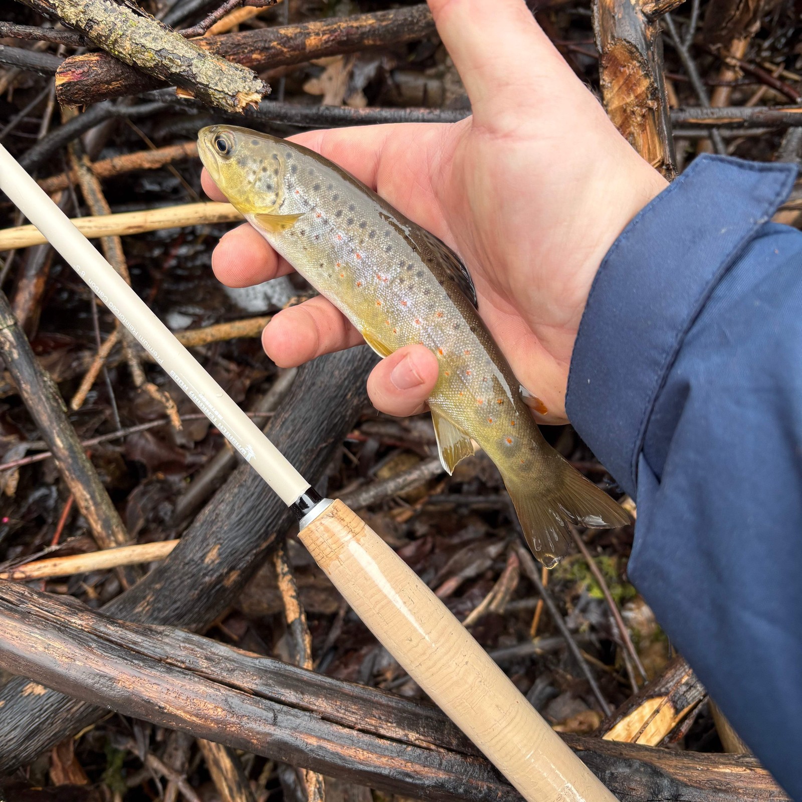 Wasatch MothRod 8’5″ Tenkara Rod 1.9 oz Collapses 16in w/ Rod Tube