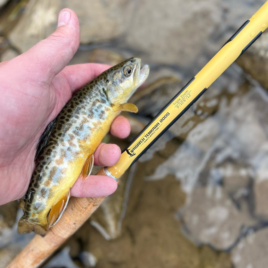 Wasatch Hankyu Middle Fork 9′-12′ Tenkara Rod Carbon Fiber w/ Rod Tube 6.6 oz