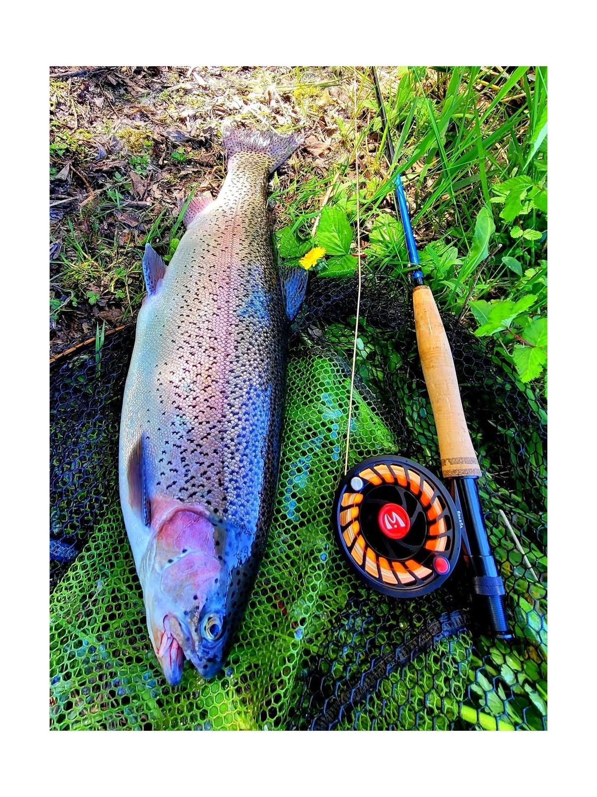 Maxcatch Extreme-X Fly Fishing Rod and Reel Combo, 3-8wt Complete Starter Fis…