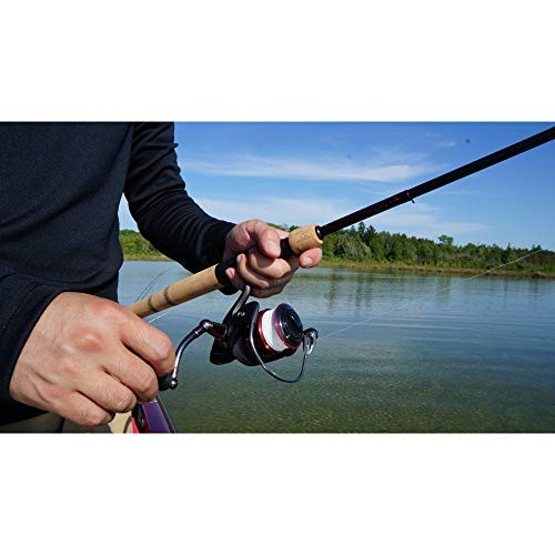 Elite Spinning Reel and Fishing Rod Combo