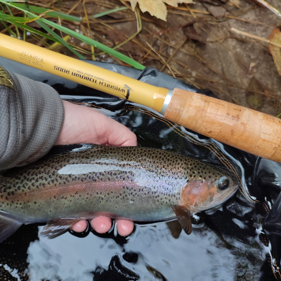 Wasatch Hankyu Middle Fork 9′-12′ Tenkara Rod Carbon Fiber w/ Rod Tube 6.6 oz