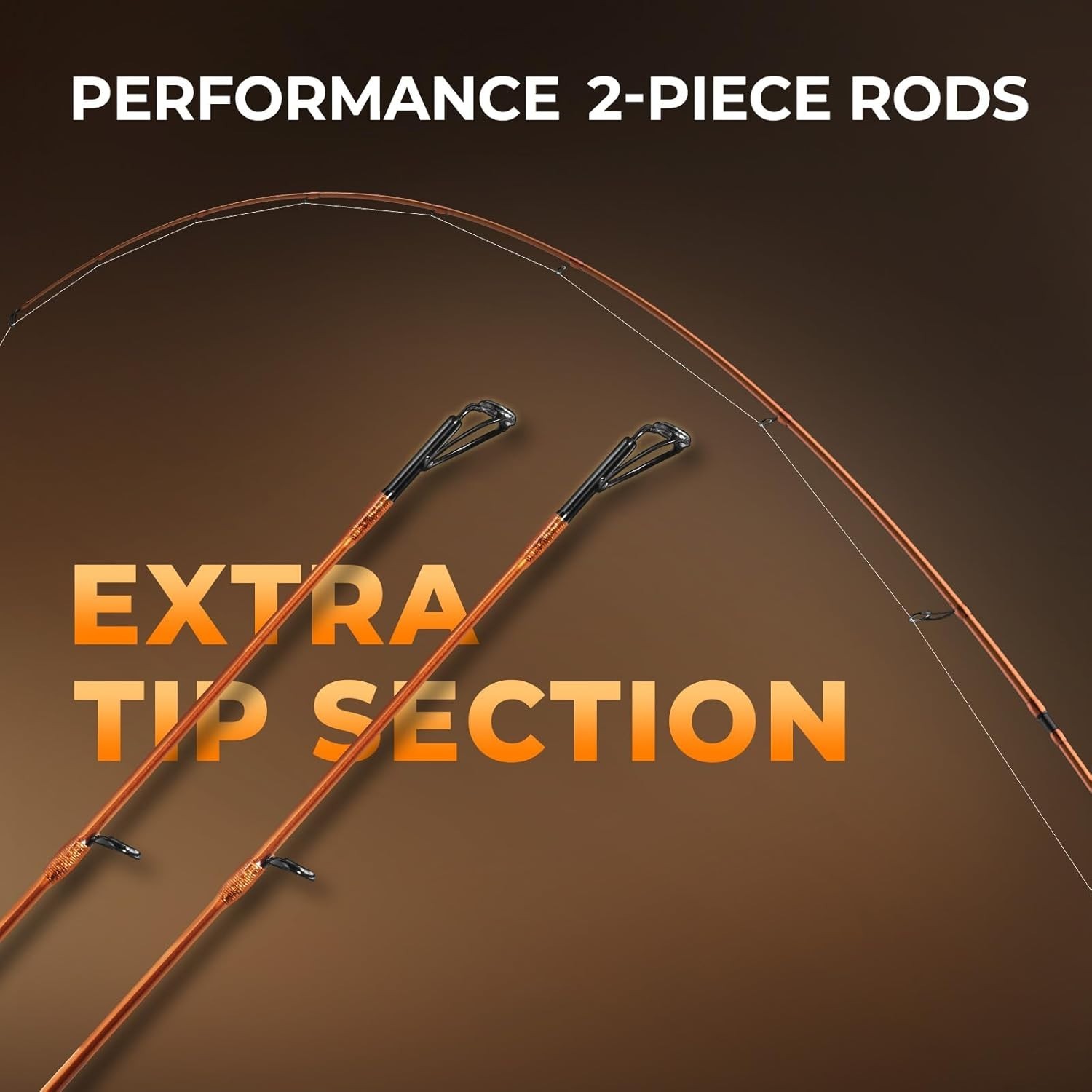 Lethal Blaze Twin-Tip Fishing Rods, IM6 Graphite Blanks Casting & Spinning Ro…