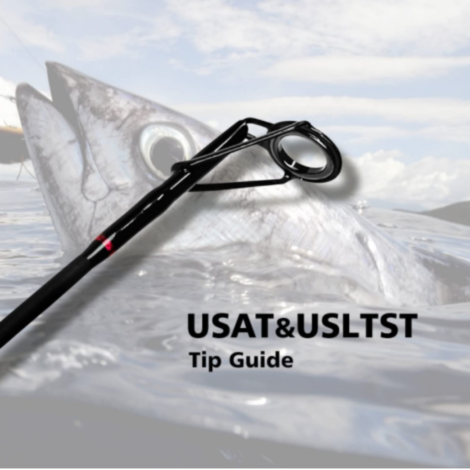Fishing Rod 2 Piece 10ft Graphite Travel Rod Fiblink Surf Spinning Durable