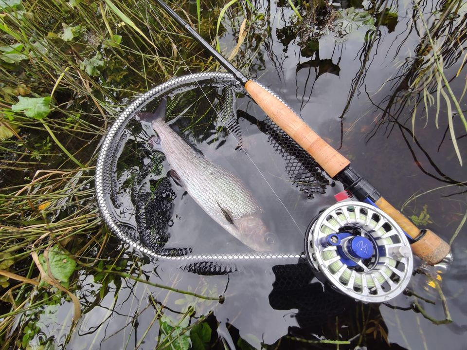 Competition InTouch 2/3wt Nymph Fly Rod for euro nymphing fly fishing