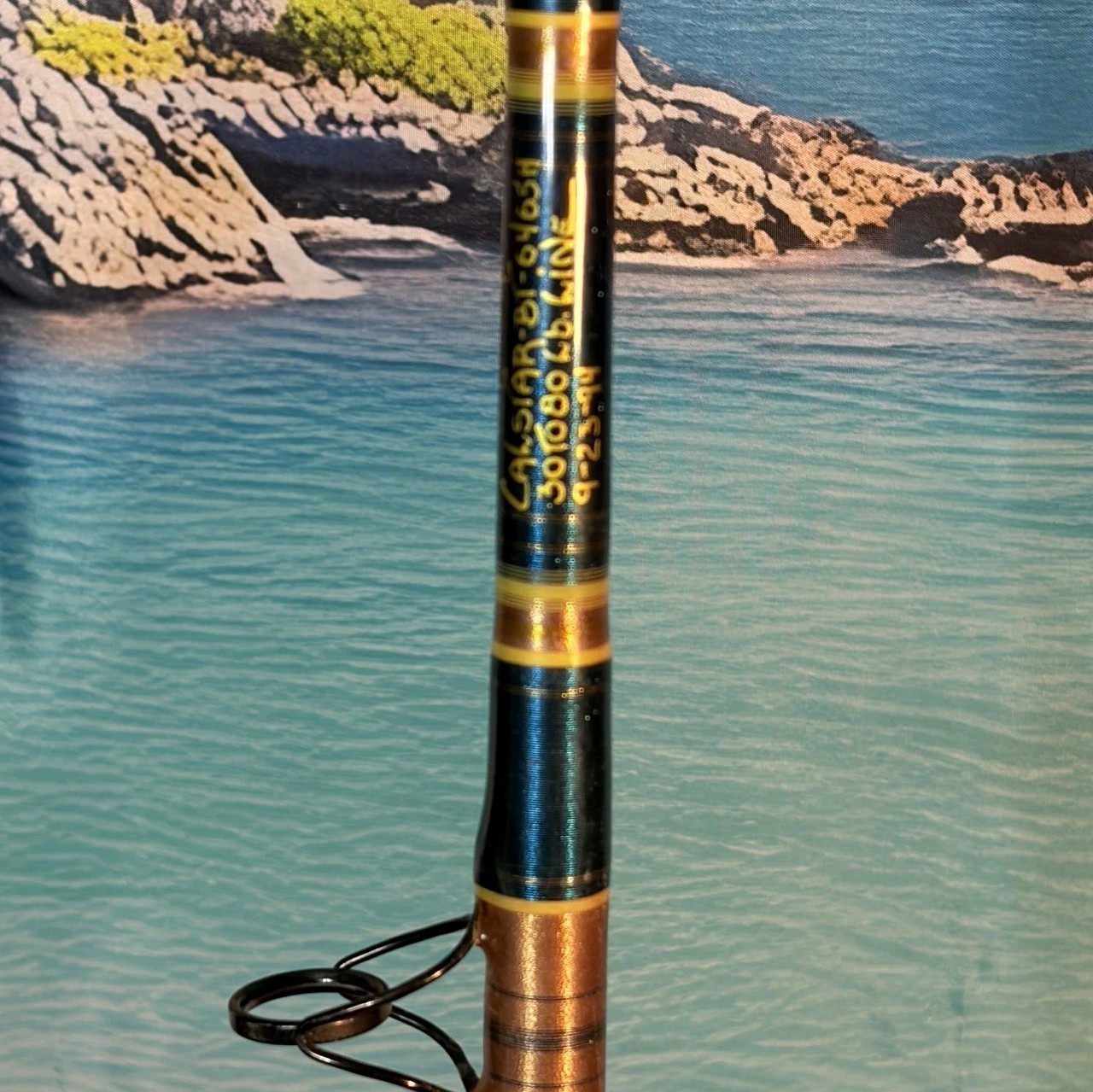 Calstar BT6465H Custom Conventional By Longfin 30-80lb Saltwater Rod Blue Gold