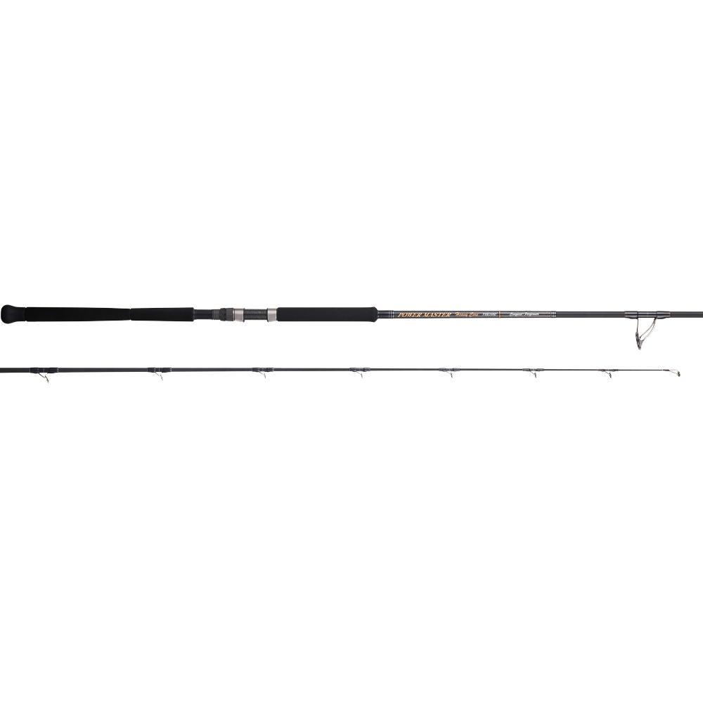 Tenryu POWER MASTER Heavy Core PMH96H Spinning Rod