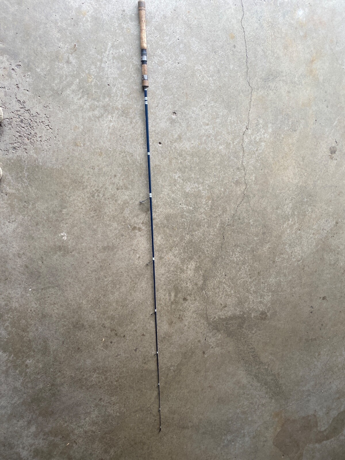 scheels spinning rod