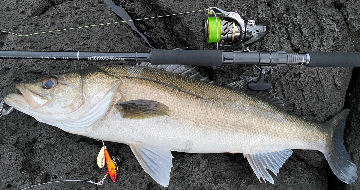 Yamaga Blanks BlueSniper 103L plug special light class concept shore casting