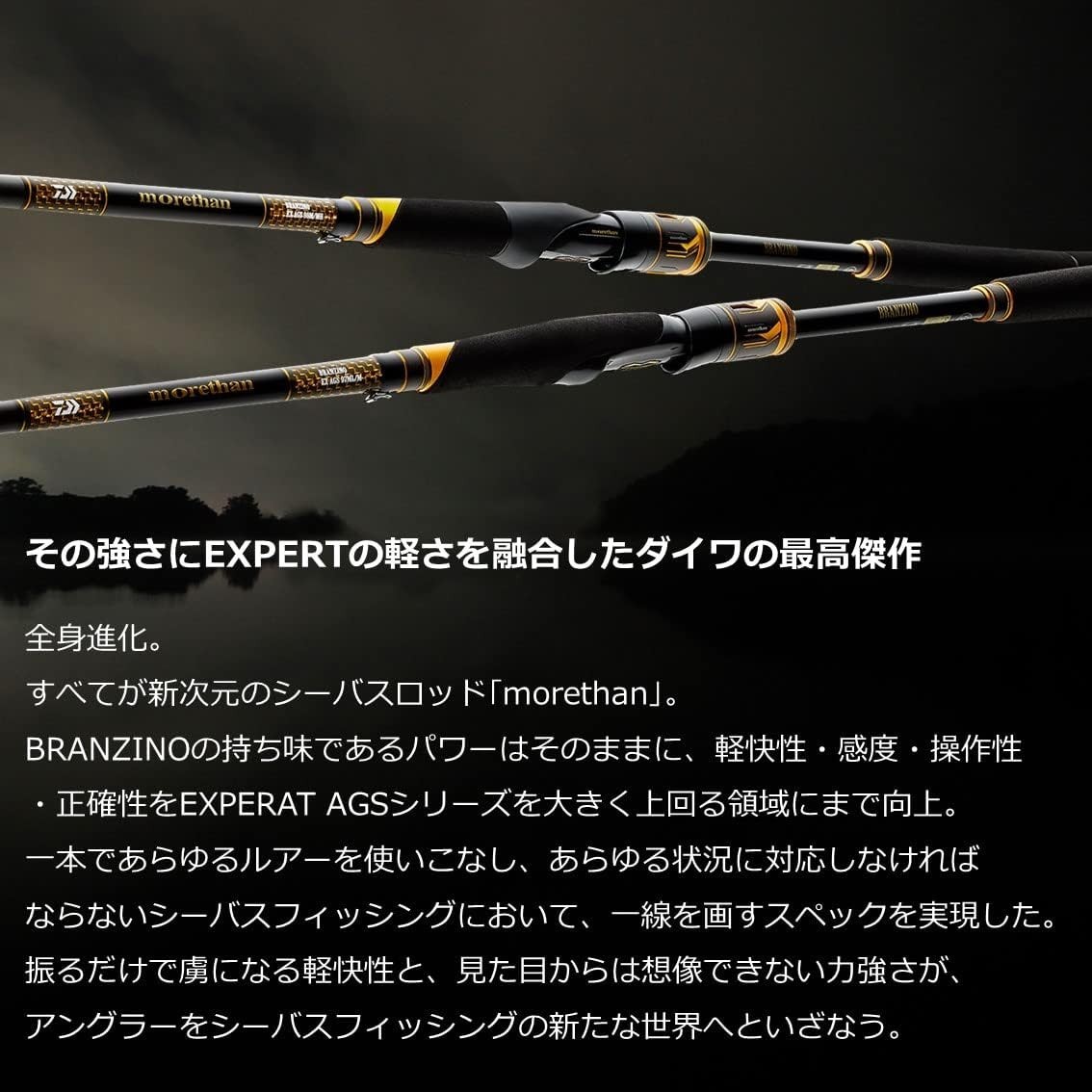 Daiwa 20 MORETHAN BRANZINO EX AGS 94mmH Black Fishing Rod Seabus Rod