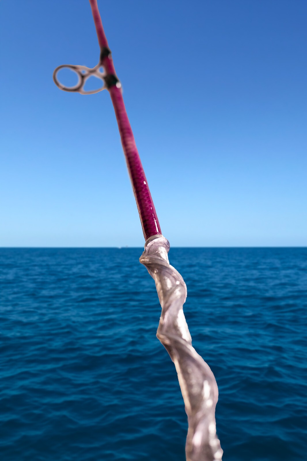 Custom Python Skin Fishing Rod with Real Snake Skin Grips and laminated to tip.