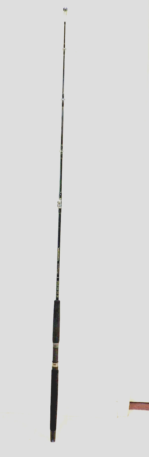 Shakespeare Tidewater TW 66 3/0 F 6’6″ Medium 20-40 lb Line Rod