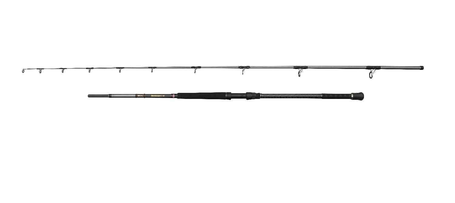 PENN Regiment IV Uptide Rod 10′ 70-300g 2sec