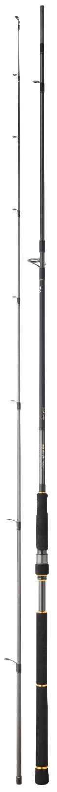 Daiwa BG Sea Bass – Fishing Rod