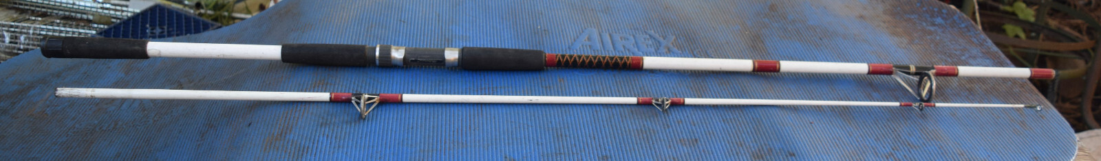 Shakespeare Tidewater Supreme SPC 10W 100 10-30lb Sigma fishing rod