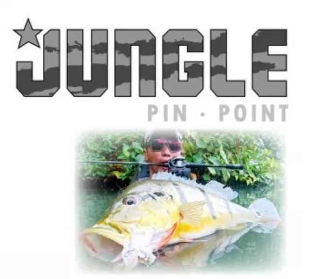 Feed Rod Baitcast Jungle Pin Point JBC-66 MH P.E 2.5 Max (0164)